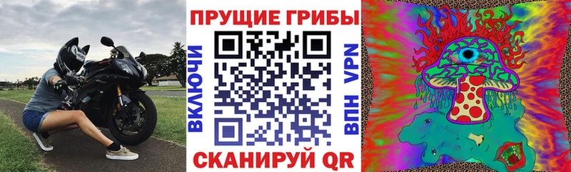Псилоцибиновые грибы Psilocybine cubensis  KRAKEN ссылка  Кольчугино  где найти  